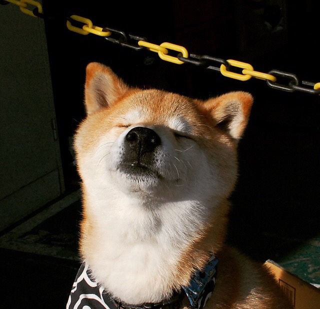 足球的夜晚，篮球的星空，当安联球场映亮北岸花园