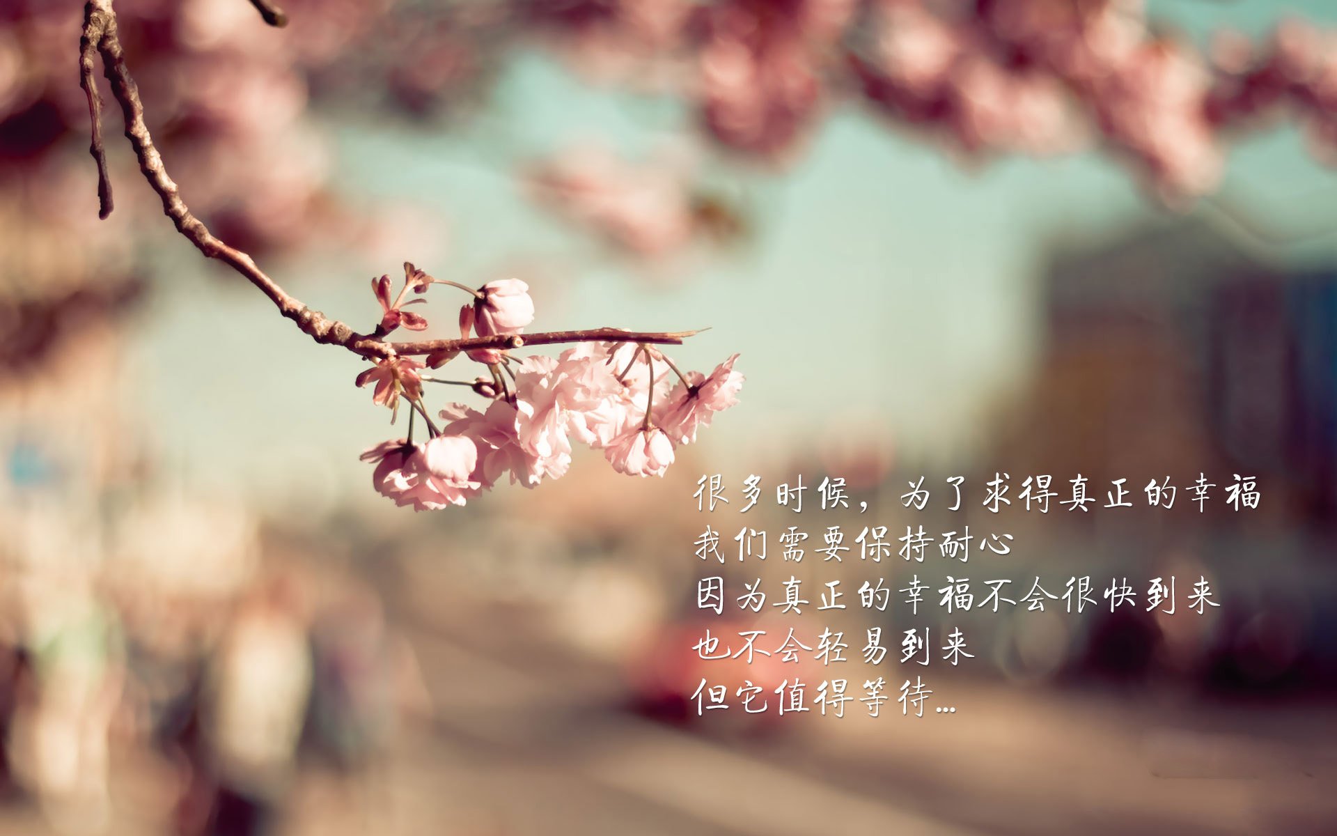 开云体育登录-绝地反击，奥利维耶爆发，土耳其最后一刻险胜巴拉圭