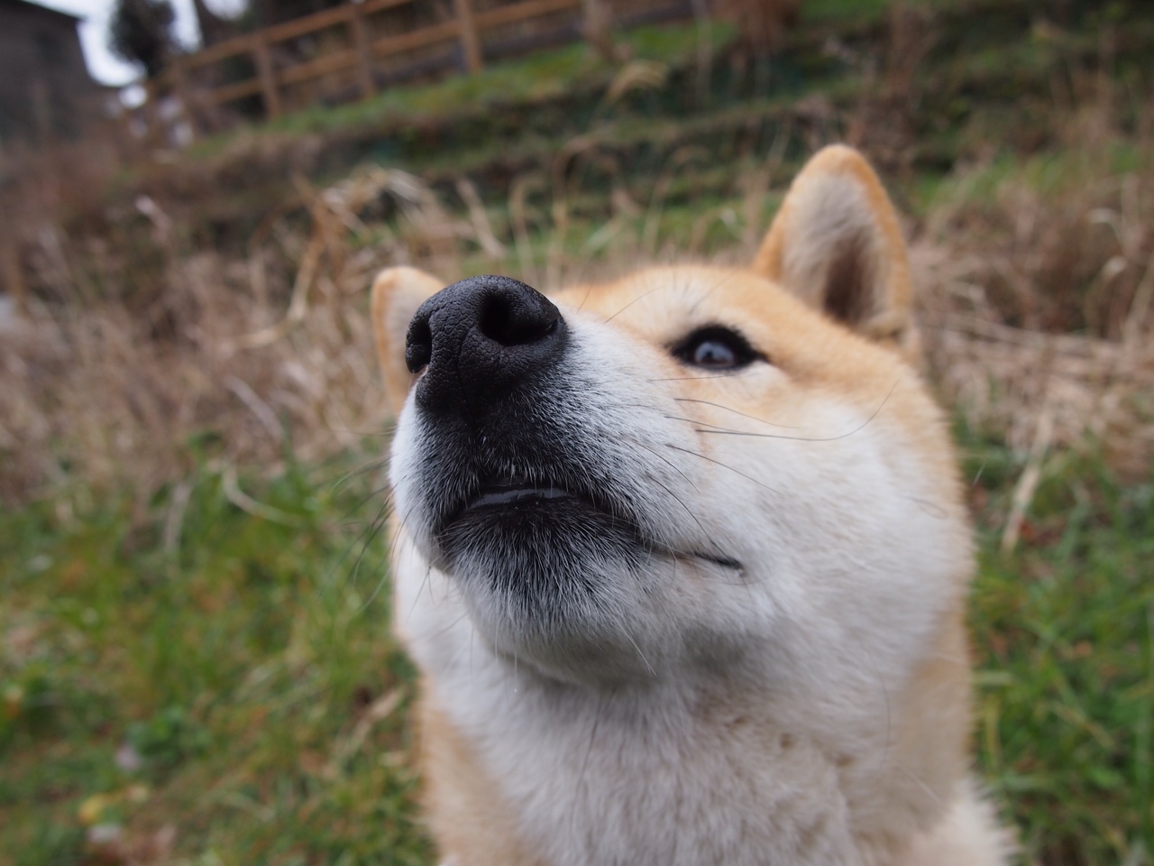 平行时空的篮球盛宴，当广东队遭遇生涯之夜的范弗利特