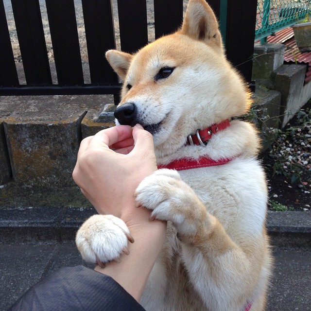 跨界巅峰对决,广东队对阵快船,杜兰特赛后评分拉满,唯一性之战引全球瞩目