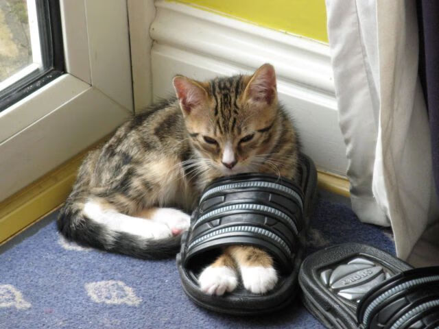 让我们先破题，构思一个既有文学性又兼具唯一性的标题